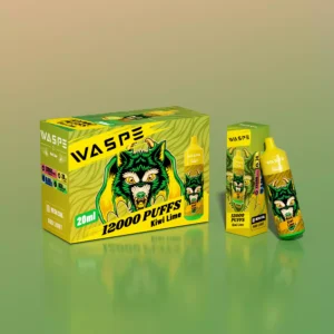 WASPE 12000 PUFFS Groothandel Wegwerp Vape Pen met 15 Onweerstaanbare Smaken