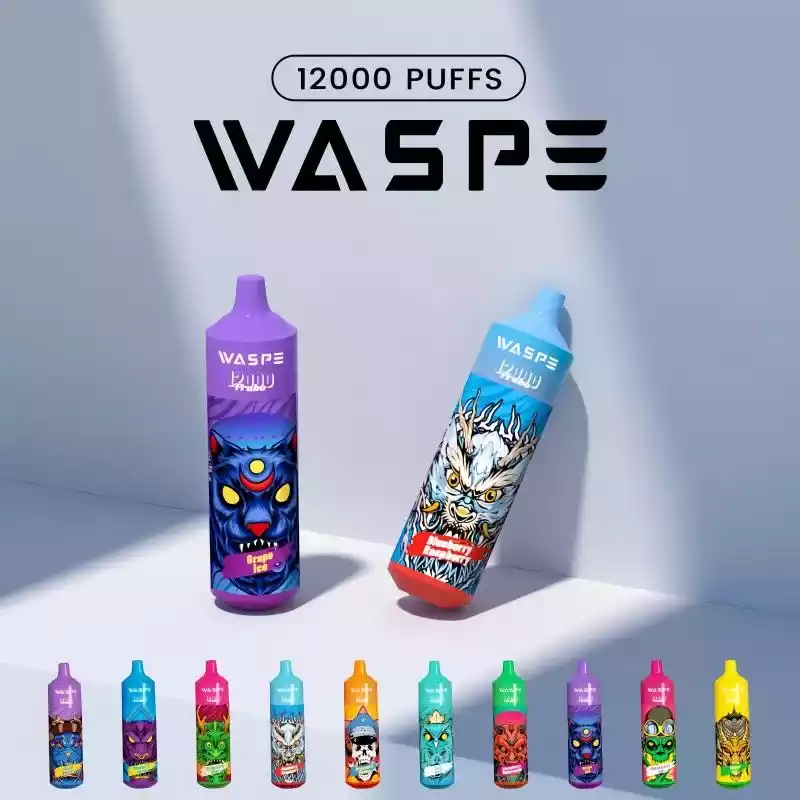 WASPE 12000 PUFFS Groothandel Wegwerp Vape Pen met 15 Onweerstaanbare Smaken