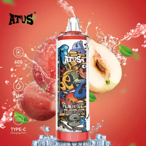 https://dvaping.com/wp-content/uploads/2024/12/Wholesale-Disposable-Vape-13000-Puffs-–-Quality-at-Unbeatable-Prices-2.webp