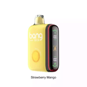 Bang BOX 9000 18000 Puffs Disposable Vape Powerful Long-Lasting Vaping Experience
